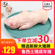 Peng big food fresh pigs trotters 1800G a total of four pig front trotters pigs feet pig feet