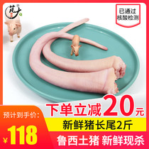 Peng big food fresh pig tail long tail 1000g pig long tail full tail whole root clean pig tail 2kg