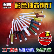 Colored paint coffee bronze champagne golden black white red green gray core blind rivet pull rivet aluminum