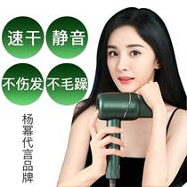 Golden rice hair dryer negative ion hair care high-power hair salon dedicated household hair dryer dormitory students mute