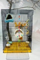 F3 Blue или Pink Cage замечает не черный