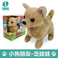 3305-3 Чихуахуа (короткие волосы)