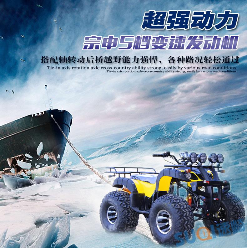 Zongshen 150-250 vi sai lái xe big bull ATV bốn bánh xe máy bãi biển xe máy off-road môtô mini
