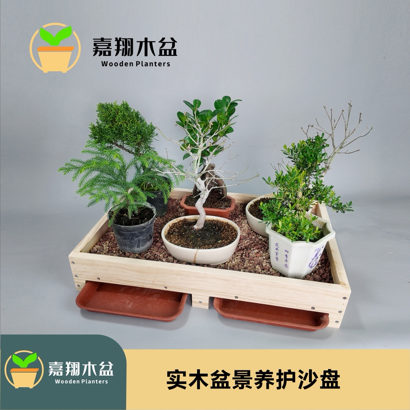 Bonsai Sand Tray Maintenance Water Tray for Pine and Cypress Cultivation, Promotes Root Growth, Prevents Water Accumulation, Thickened and Densified, Moisturizing and Breathable for Old Trees