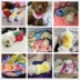 Quần áo chó sữa mùa xuân và mùa hè siêu nhỏ Mini Teddy dog ​​mùa thu và mùa đông hơn gấu chó con chó quần áo trang trí chihuahua mùa hè - Quần áo & phụ kiện thú cưng Quần áo & phụ kiện thú cưng