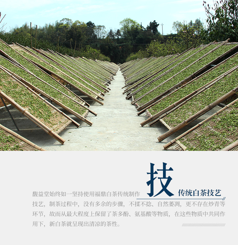 馥益堂 太姥神韵 白牡丹 福鼎白茶 300g 礼盒装 图6