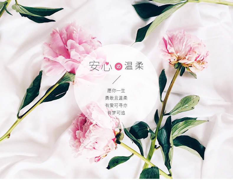 BLT1825 Big Picture_01.jpg