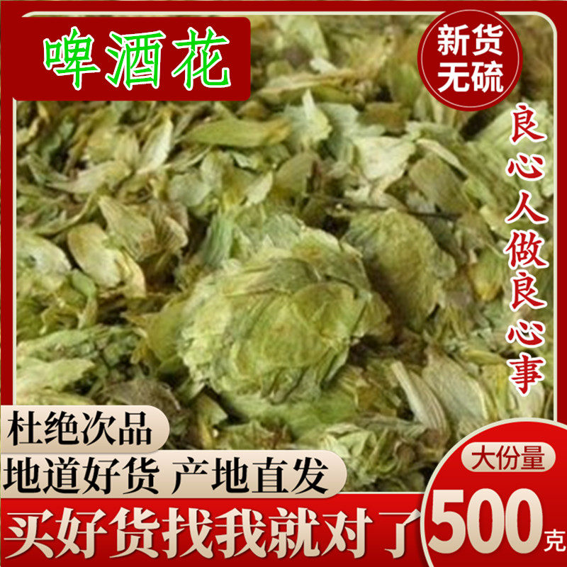 Chinese herbal medicine hops dry hops, hops, wild hops, baker's yeast 500g