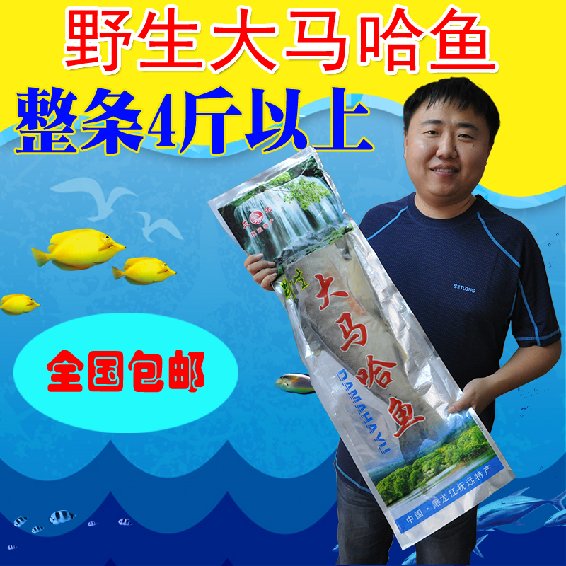 (4 catty)Northeast specialty fresh marinated Fuyuan wild salmon migratory fish Whole salted fish 