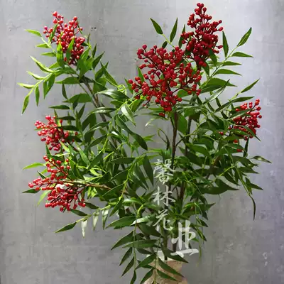 火焰南天竹仿真假花果子枝浆果小红果室内客厅插花摆件竹柏绿植