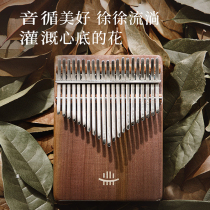 Lu Rukalinba Thumb piano 17-tone five-finger mini thumb piano wooden niche instrument
