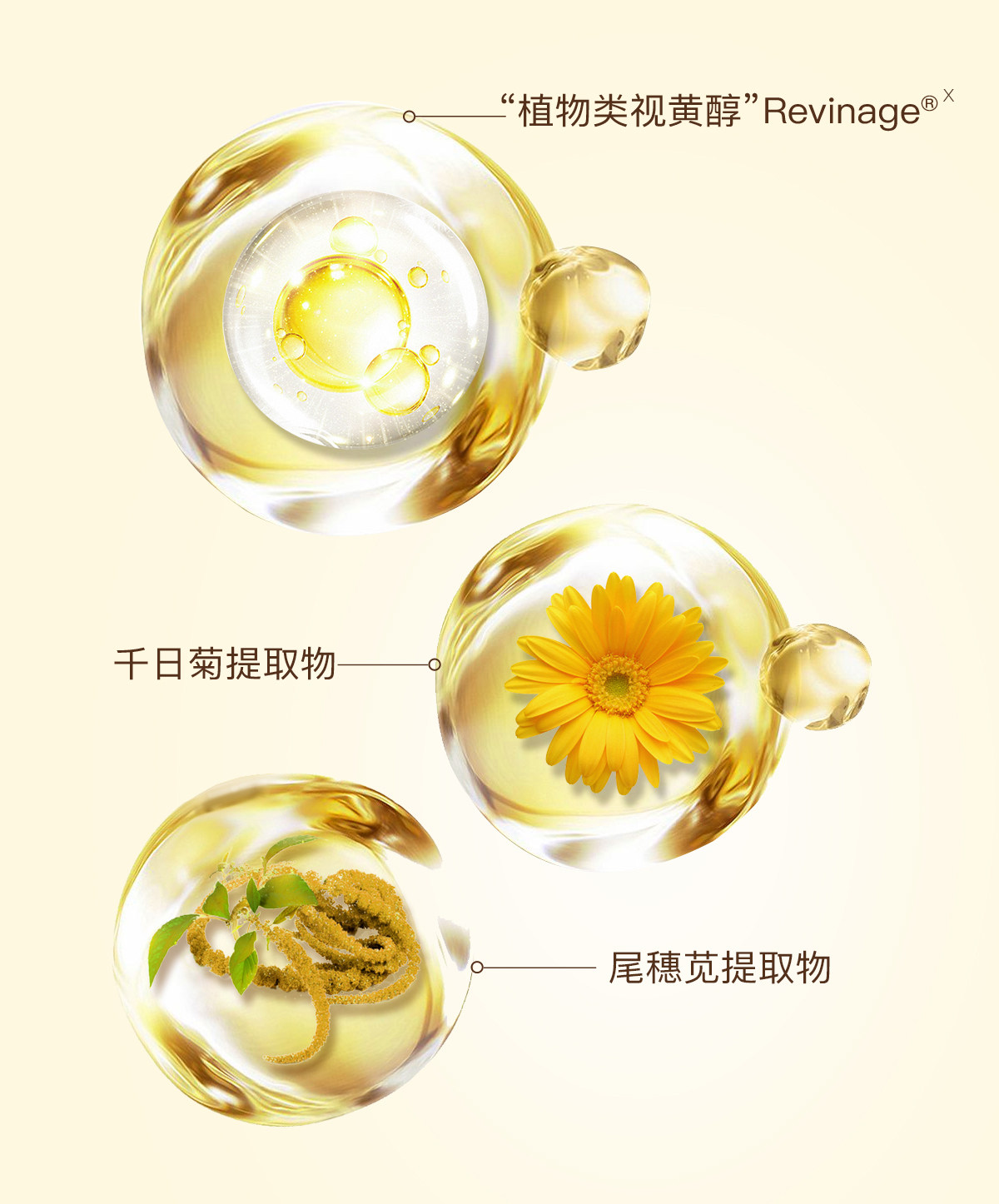 【中国直邮】 德国 天露芬 眼部精华油 15ml 【改善眼周干纹黑眼圈】有机 Revinage 淡细纹紧致 淡化眼袋暗沉 温和不刺激 紧致眼周抗老