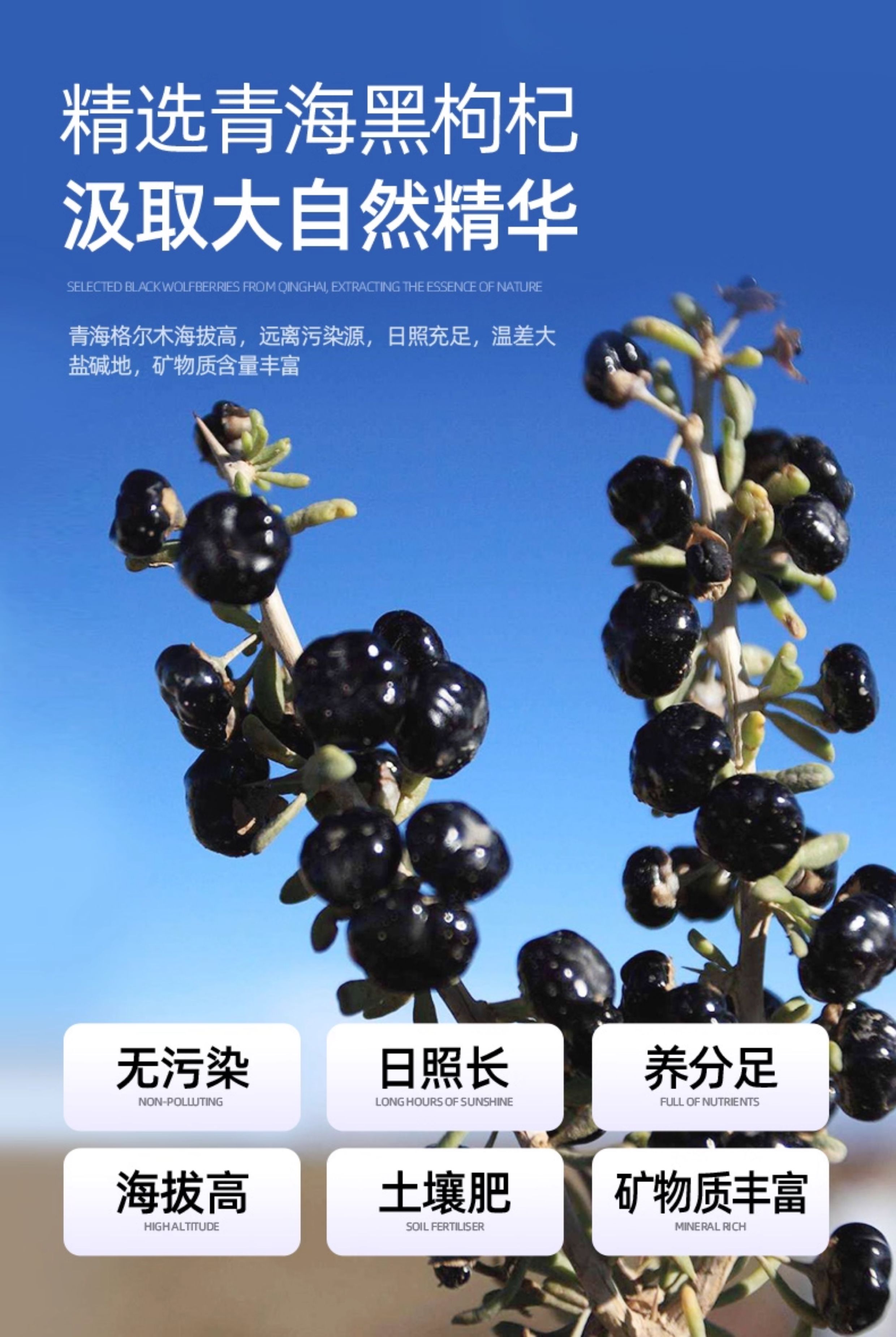 Black Goji Berry Juice Concentrate Ningxia Wolfberry Original Liquid Ready to Drink 40 Bottles Gift Set key features
