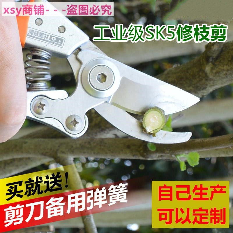 Flower Cut Branches Gardening Scissors Cut Twigs Prunes Prunes Prunes Cutting Fruit Branches Cut Grape Clippings Garden Cut Flowers Art Cut Tools