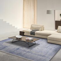 Ocean Rose Living Room Carpet Modern Minimalist Sofa Tea Table Mat Nordic Geometric Abstract Grey Bedroom Bedside Blanket