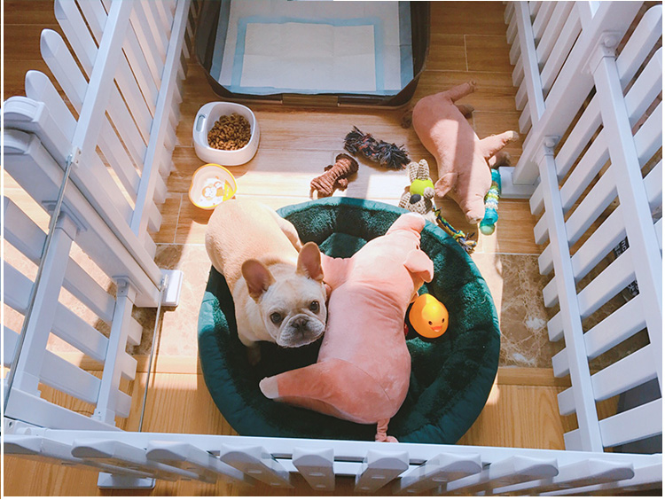 Con chó đồ chơi cắn kháng con chó răng hàm luật để đi cùng ngủ đồng Teddy pet estrus vent thời gian nam dog cat nguồn cung cấp chuột đồ chơi cho mèo