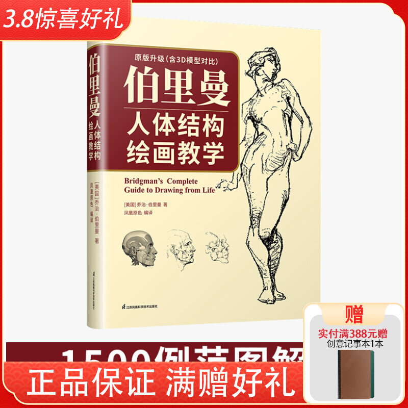 Original Upgrades Bury Mann Human Body Structure Painting Teaching Introductory Foundation Human Morphology Drawing Tutorial