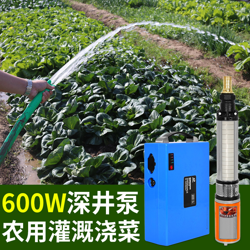 Deep well submersible pump home pumping water pump well with battery 48v high-pressure deep water pump suction stroke large 60v DC submersible pump