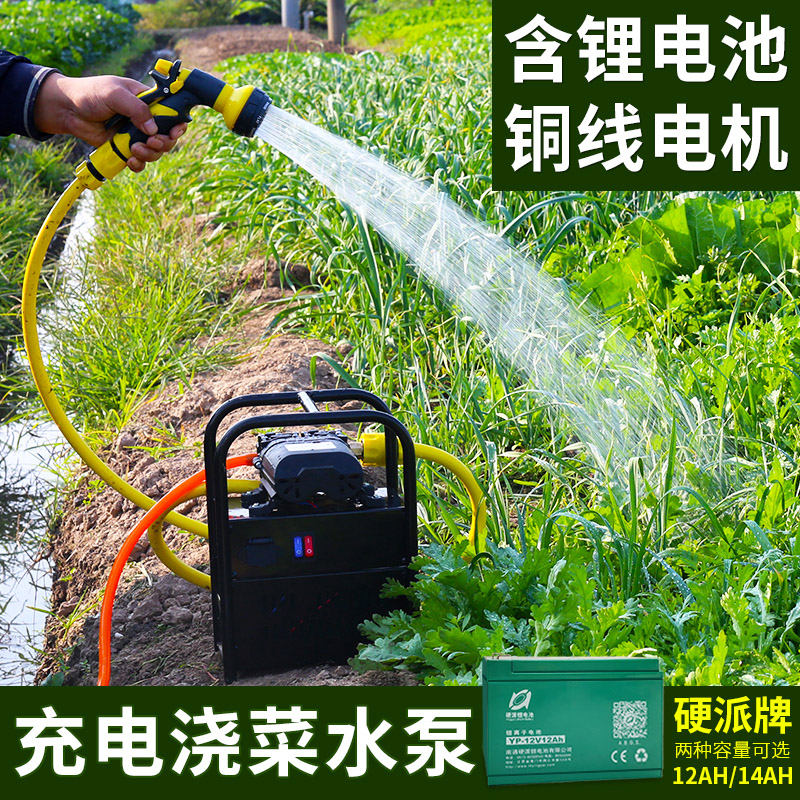 Household watering watering water pump outdoor agricultural watering machine irrigation charging pumping pump suction 12v vegetable garden watering pump