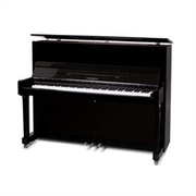 Piano Đức Fulrich FEURICH F122 Dòng sản phẩm dành cho người lớn chuyên nghiệp Hàng Châu