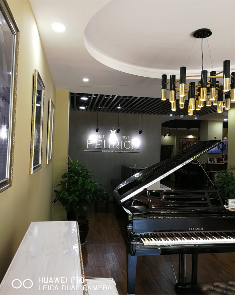 Đàn piano Fulrich FEURICH của Đức F133S đàn piano gia đình chuyên nghiệp chơi đàn piano piano one