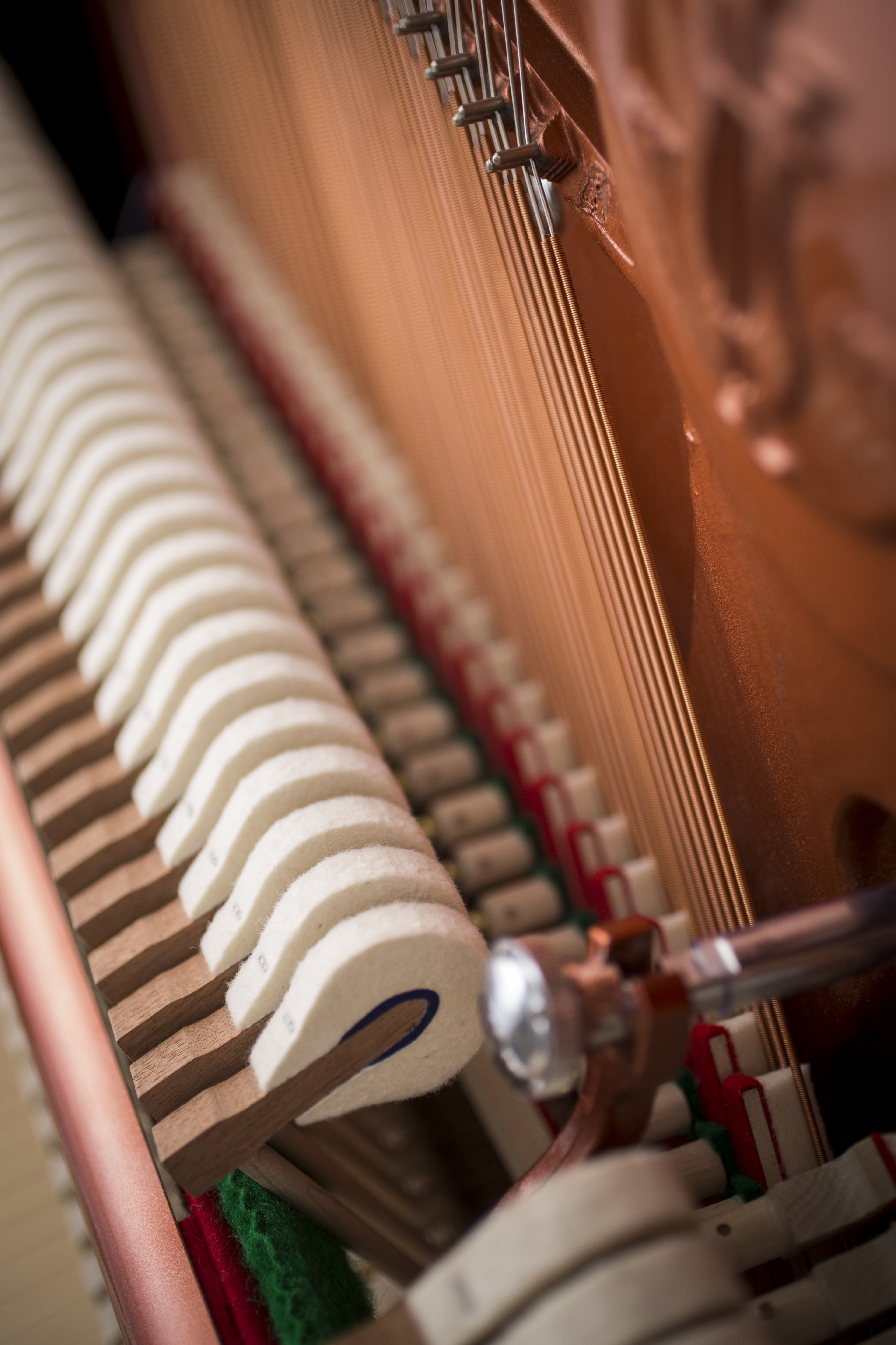 Đàn piano Fulrich FEURICH của Đức F133S đàn piano gia đình chuyên nghiệp chơi đàn piano piano one