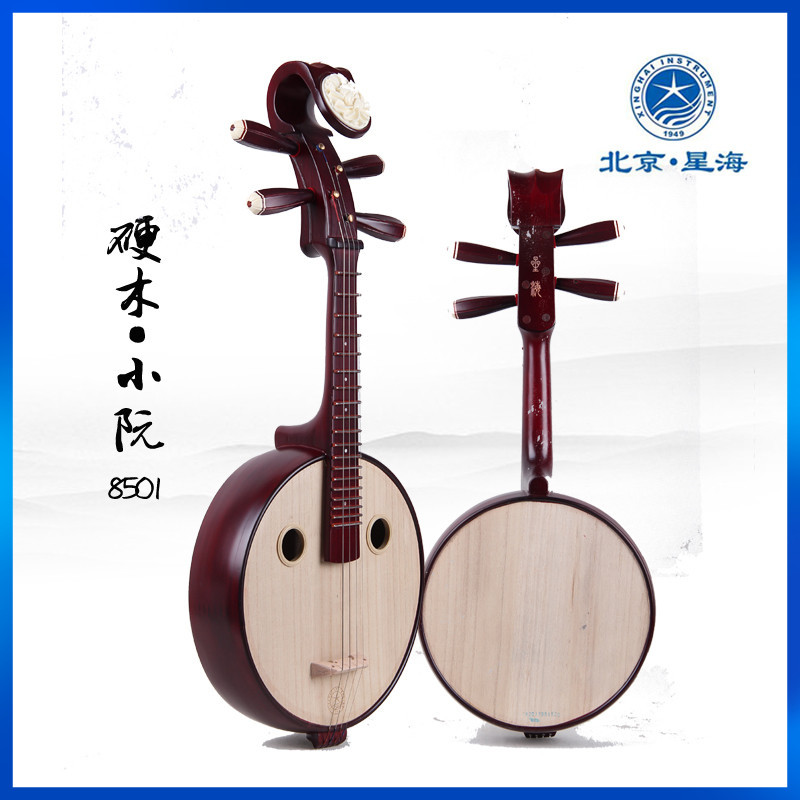 Professional Xiaoruan instrument Beijing Xinghai Instruments 8570 First entrance Professional Appraisal Exam Playing Manufacturer Direct Sales