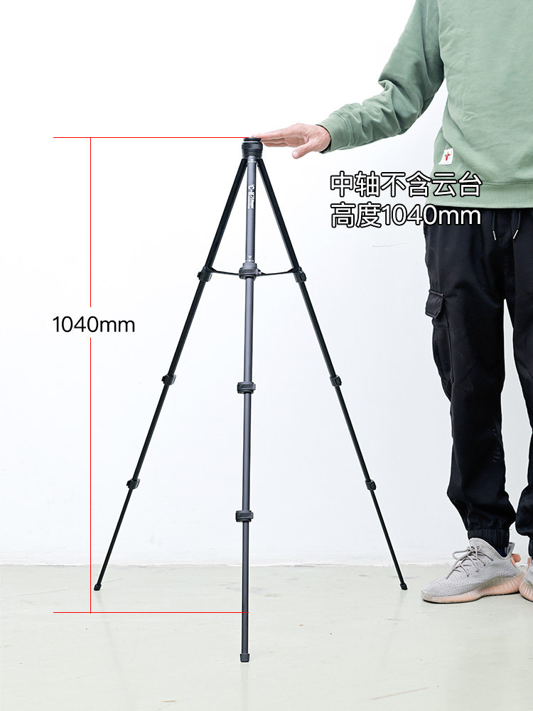 O1CN01DMQTOF1D1UhNViGHH !!32790156