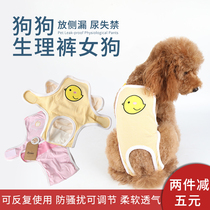  Dog hygiene pants Pet Teddy little bitch holiday physiological pants Anti-harassment aunt towel contraceptive underwear safety pants