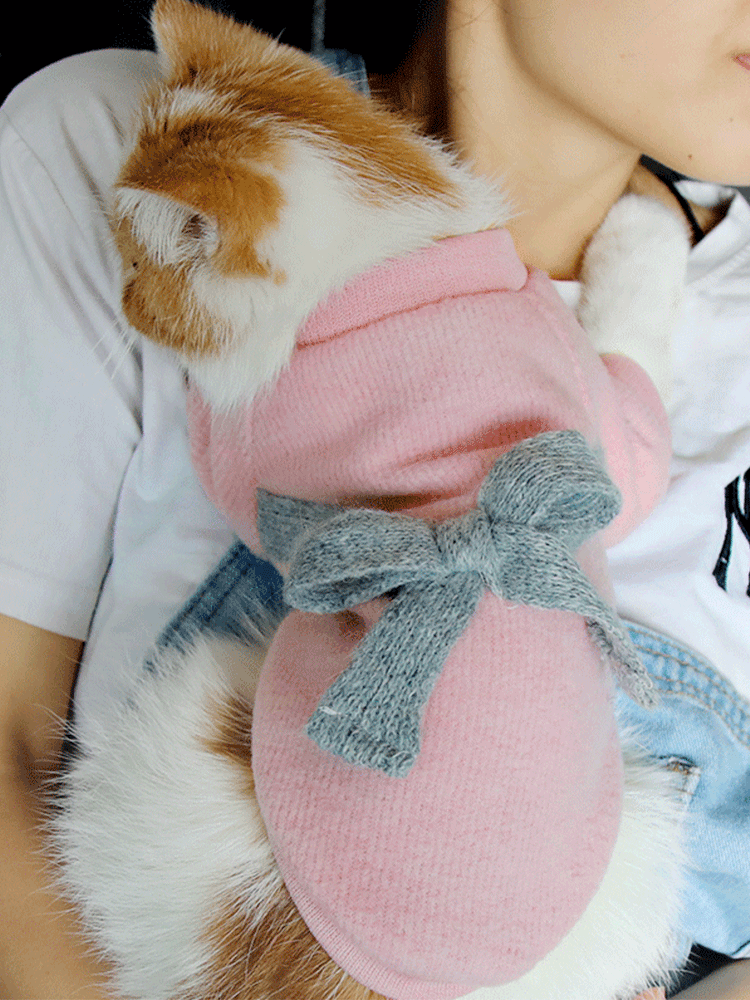 Cat clothes autumn and winter autumn thin section hairless cat cute cat kitten dog cat cat warm winter clothes small milk cat
