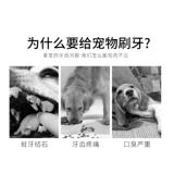 Кошка с зубной щеткой, дезодорантная кошка может есть зубная паста собака зубная щетка силиконовая силиконовая очистка домашних животных