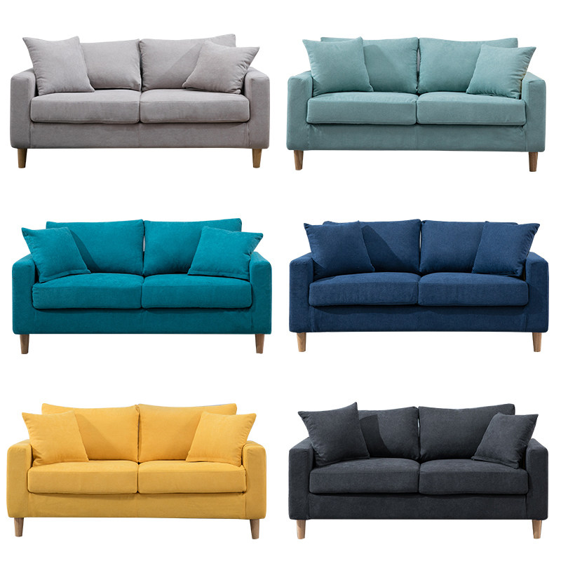 Cloth Sofa Small Family Style Living Room Modern Minimalist Trio Trio Nordic Improvised Rental Room Clothing Shop Duo
