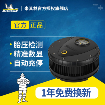  Michelin car air pump Car pump machine 12V portable tire electric aerator high power