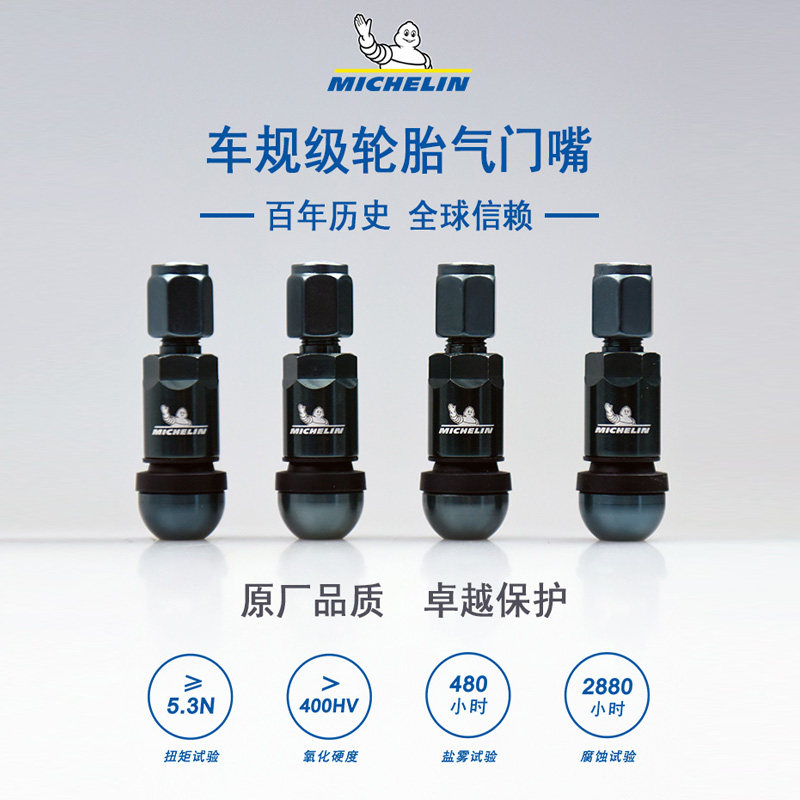 Michelin car tire valve airtight nozzle hub air core set cap set original quality package installation