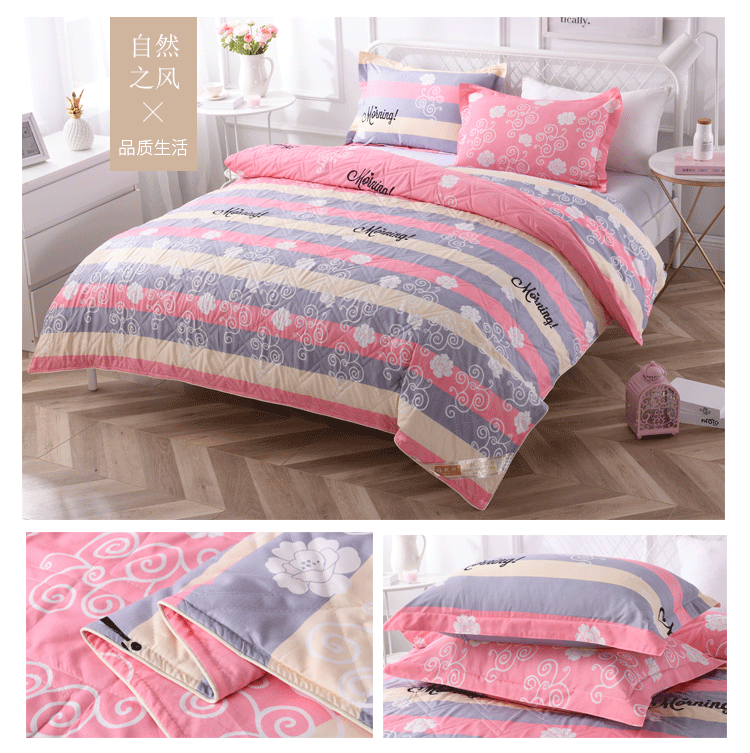 Quilt bộ sinh viên nội dung đơn nữ ký túc xá Đại học cho trẻ em bông đôi giường 2.0m dày mùa đông nước ấm máy giặt - Quilt Covers 	ruột chăn phao	