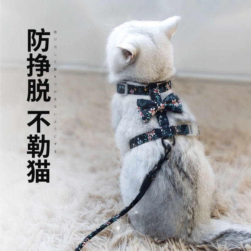 Kitty traction rope Home Pet Vest Style anti-escape Cat Rope God Ware Out of the cat chain Cat Kitty Special