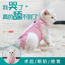 Cat sterilization suit Female cat surgical suit Summer weaning thin anti-hair loss postoperative anti-licking and anti-biting male cat sterilization suit