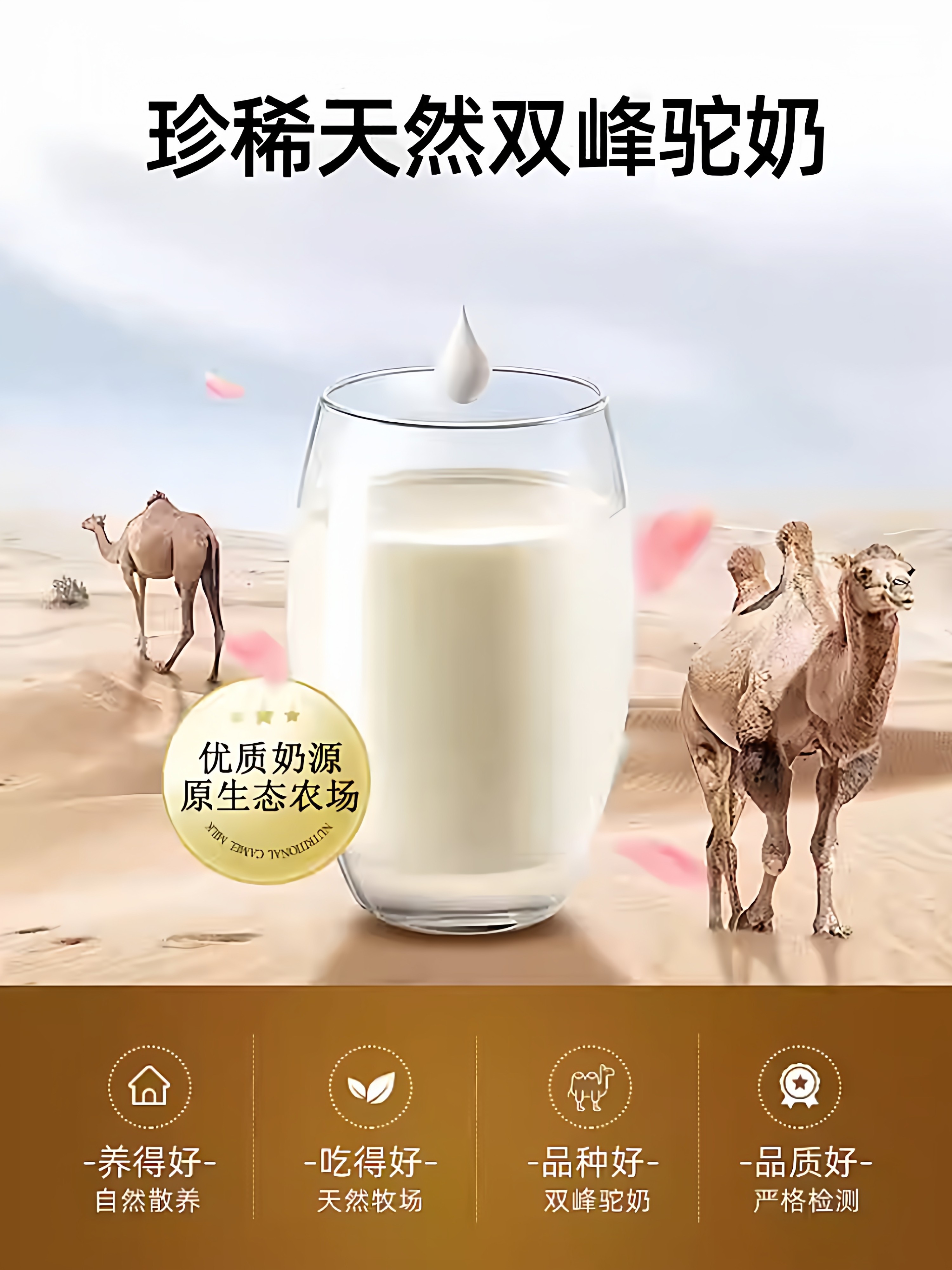 Pregnant Women's Milk Powder Is Specially Designed for Early, Mid and Late Pregnancy, with High Calcium and Folic Acid, Camel Milk Powder, Genuine Official Flagship Store