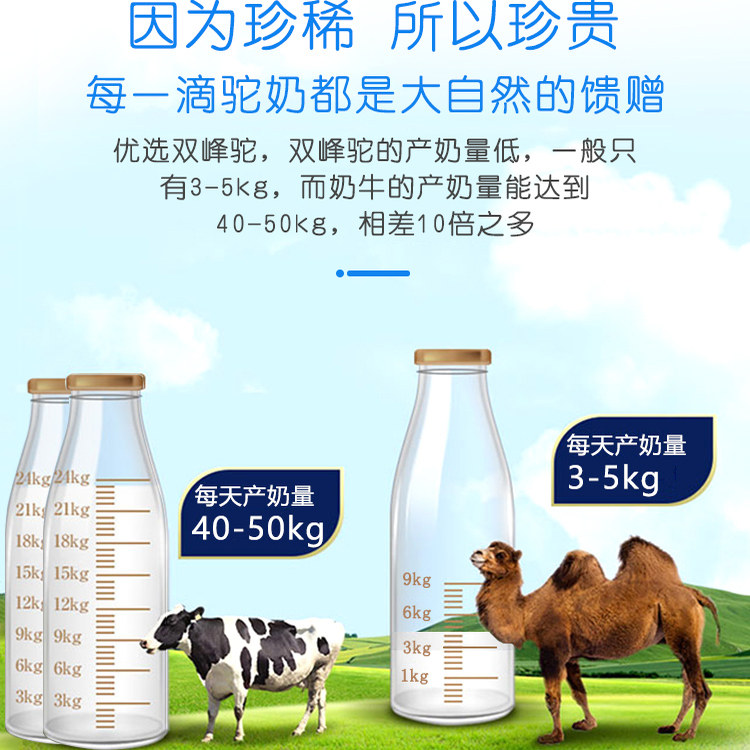 Children's Food Preparation High-Fat Probiotics for Men and Women with Gastrointestinal Problems High-Calorie Formula Camel Milk Powder Authentic Flagship Store