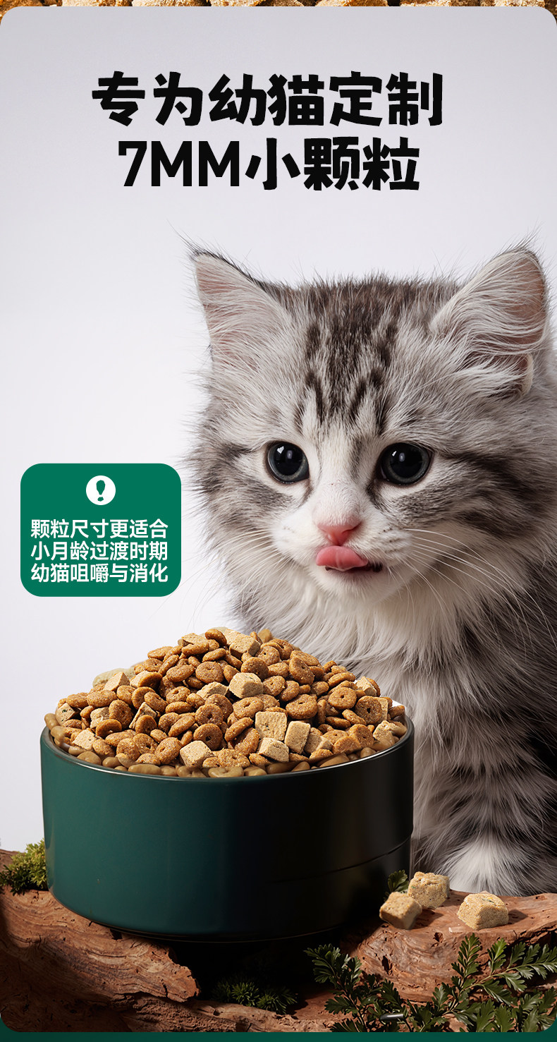 安享好物 安享B级猫粮-凯锐思幼猫 奶糕猫粮 国标 