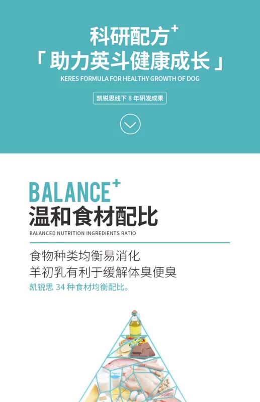 Kai Ruisi DHA công thức thức ăn thức ăn cho chó Anh chó con chó trưởng thành Anh bò Anh thực phẩm Anh đặc biệt 4 kg - Chó Staples thức ăn cho chó con 2 tháng tuổi