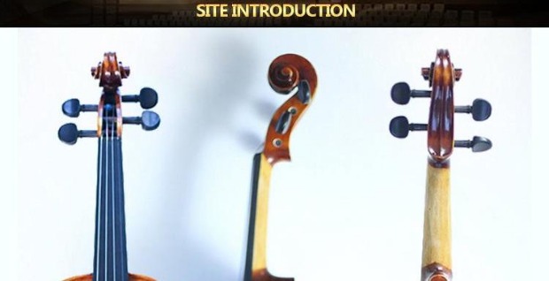 Tất cả gỗ rắn làm bằng tay violin người lớn trẻ em mới bắt đầu giai đoạn đào tạo thực hành giảng dạy nhạc cụ dây Tây đàn guitar ba đờn