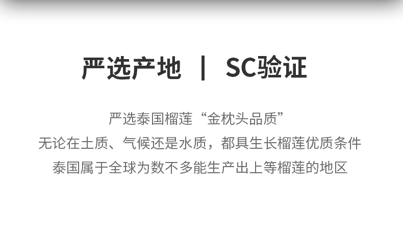 【中国直邮】谷本道元 可食用烘焙蛋糕水果冻干冻干纯榴莲粉 100g