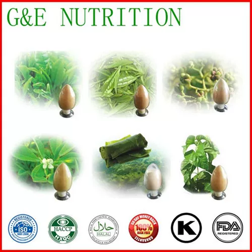 Профессиональная запас зеленого кофейного фасолика экстракта 100 г высококачественных продуктов Бесплатная доставка скидка нового продукта.