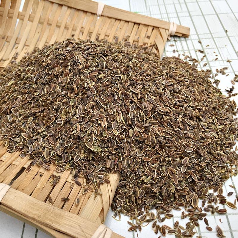 [USD 4.65] Thousand Li Shangyu Soup Seasoning Spices Dill Seed Seed