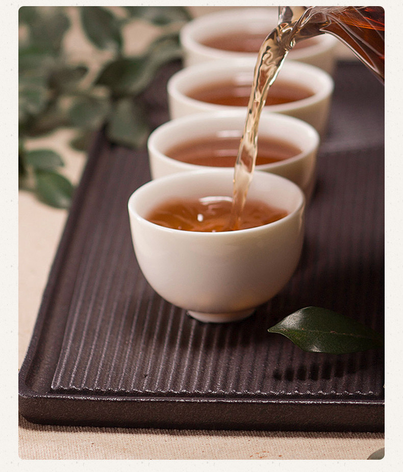 ZCQ-A10x1 Tea Cooking Device Devility-выпуск Драфт 20191021 (9) .jpg