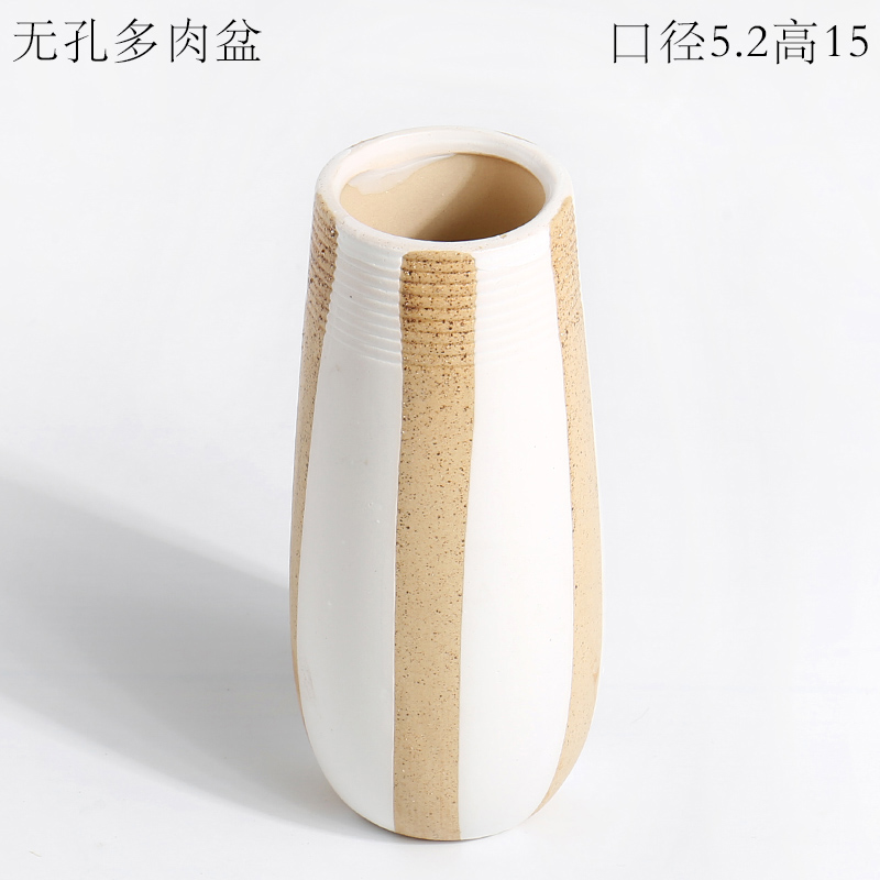 Ins money plant dedicated much flesh POTS of creative move modern Scandinavian simplicity size old lovely ceramic POTS
