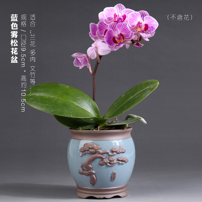 Butterfly orchid flower POTS vent size special creative purple high - grade ceramic pot round expressions using basin a clearance sale