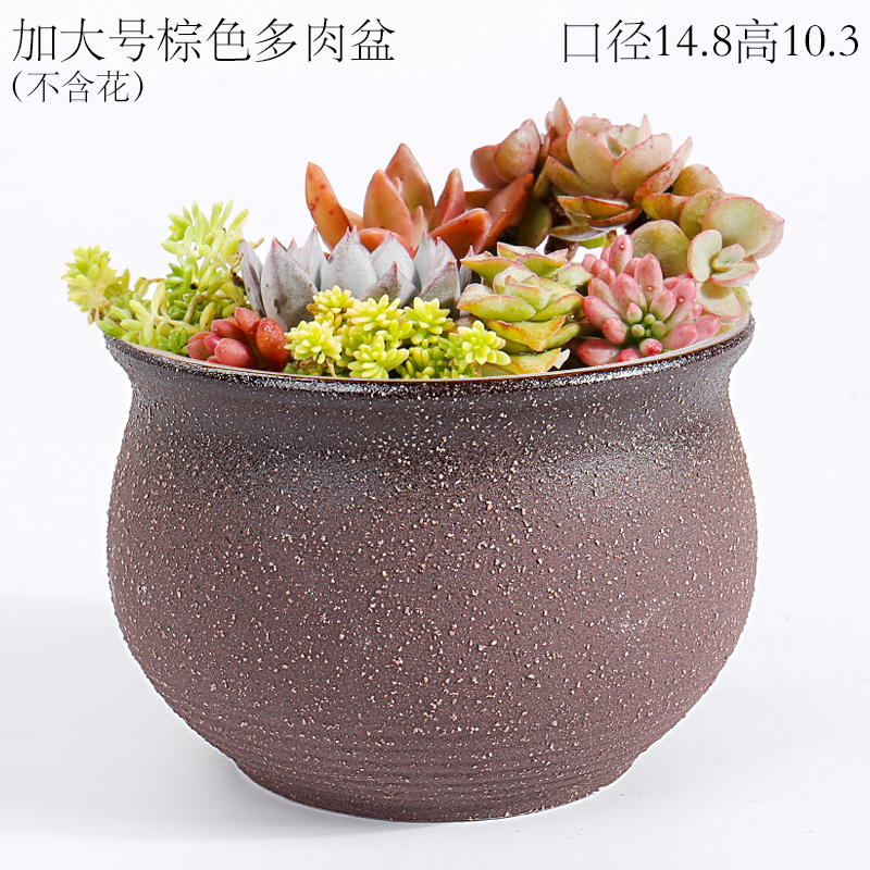 More meat meat plant POTS ceramic special offer a clearance through pockets tao cuhk small caliber mage high old from running
