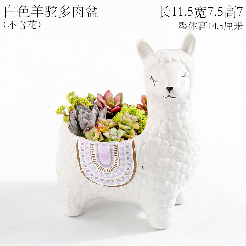 Blue creative move alpaca small express it in mini thumb animal flowerpot ceramic furnishing articles long square more than meat